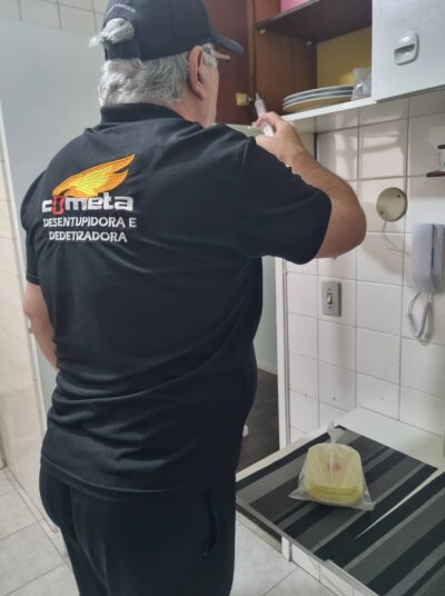 acabar com formigas