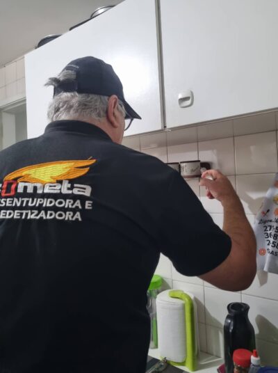 dedetizadora formigas